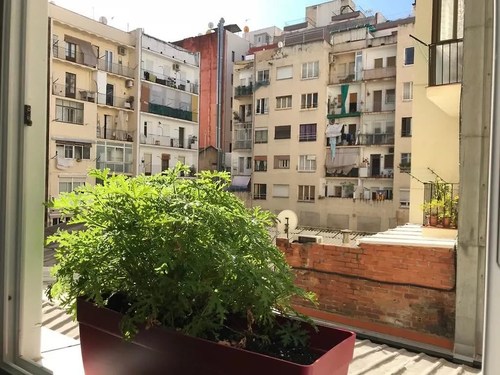 Pension Peiro Barcelona Gasthof